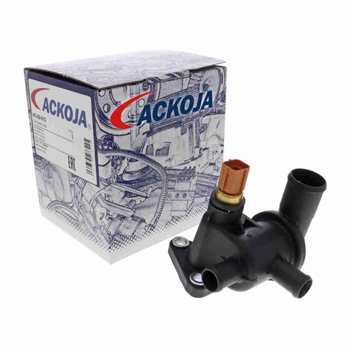 Ackoja thermostatgehäuse - ackoja, +